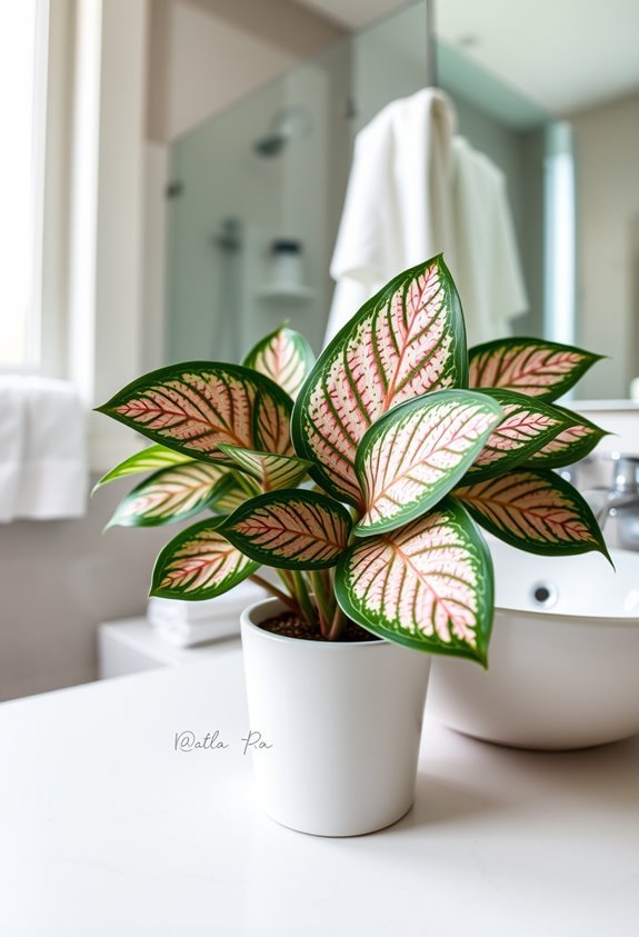 delicate nerve plant beauty